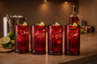 Pasabahce 520015 Rote Elysia Gläser Longdrinkglas 4 tlg. Set 445 ml