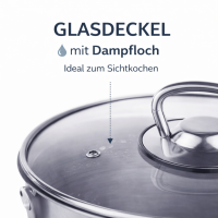 HI Universaltopf Suppentopf mit Glasdeckel und Dampfloch Induktion 10L