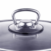HI Universaltopf Suppentopf mit Glasdeckel und Dampfloch Induktion 10L