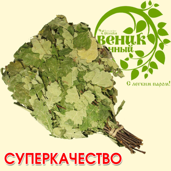 OLYMP Eichenreisig Eichenbesen Venik Wenik ca. 55 cm lang ca. 500g