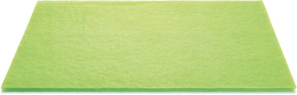 Tescoma Kühlschrankmatte Grün 47 x 30 cm antibakteriell